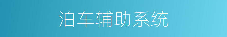 泊车辅助系统的同义词