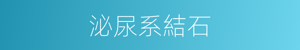 泌尿系結石的同義詞