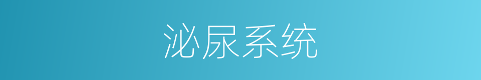 泌尿系统的意思