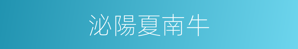 泌陽夏南牛的同義詞