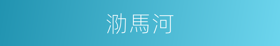 泐馬河的同義詞