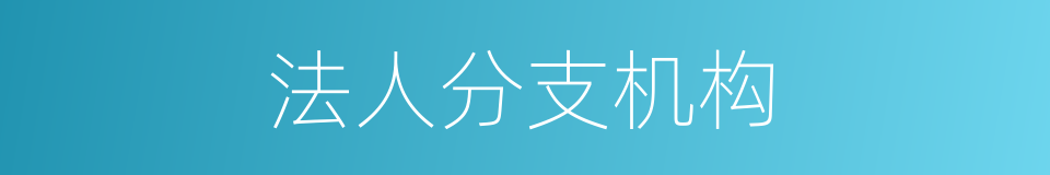 法人分支机构的同义词