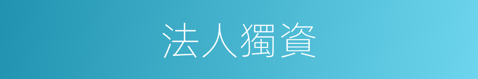 法人獨資的同義詞