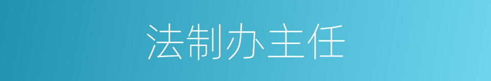 法制办主任的同义词