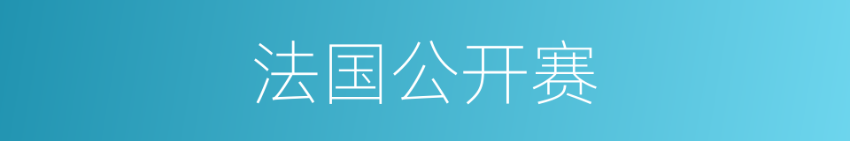 法国公开赛的同义词