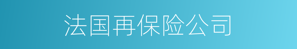 法国再保险公司的同义词