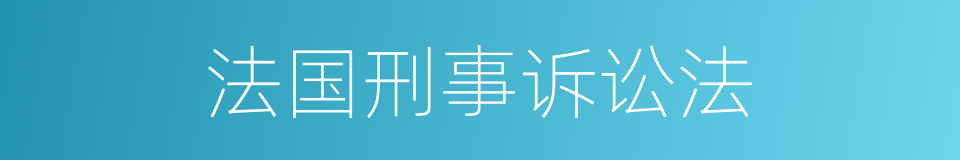 法国刑事诉讼法的同义词