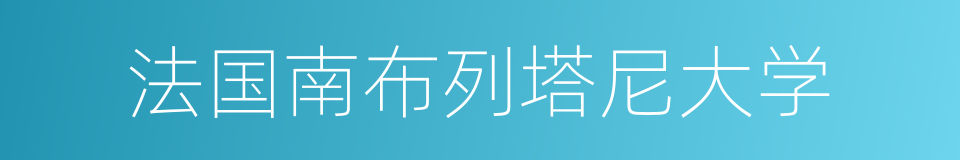 法国南布列塔尼大学的同义词