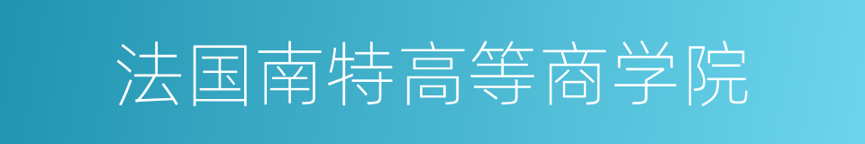 法国南特高等商学院的同义词