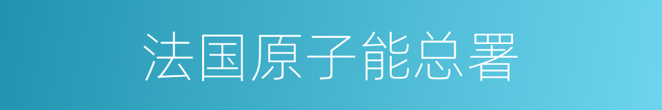 法国原子能总署的同义词