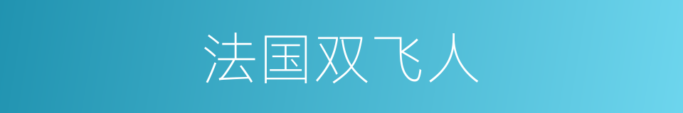 法国双飞人的同义词