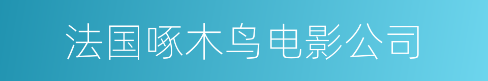 法国啄木鸟电影公司的同义词