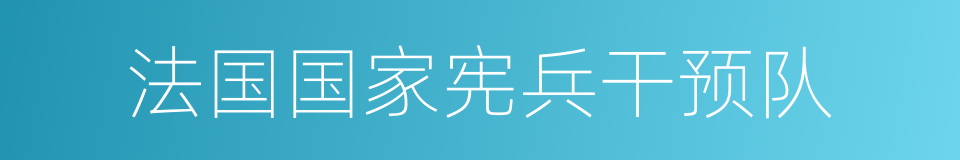 法国国家宪兵干预队的同义词