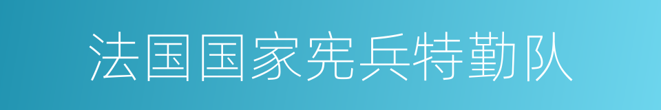 法国国家宪兵特勤队的同义词