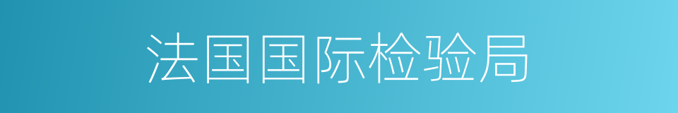 法国国际检验局的同义词