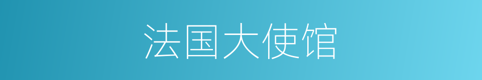 法国大使馆的同义词