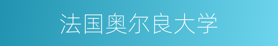 法国奥尔良大学的同义词