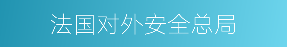 法国对外安全总局的同义词