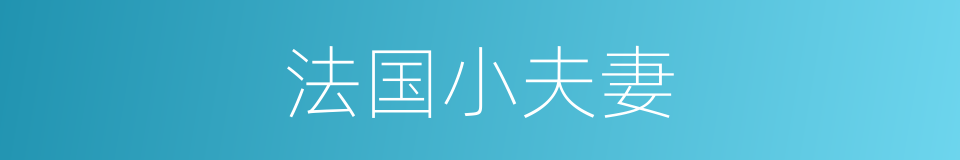 法国小夫妻的同义词