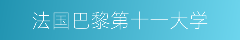 法国巴黎第十一大学的同义词