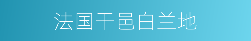 法国干邑白兰地的同义词