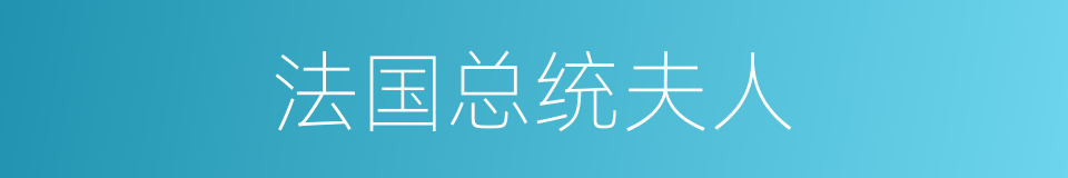 法国总统夫人的同义词