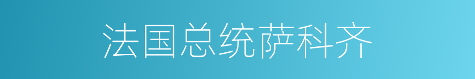 法国总统萨科齐的同义词