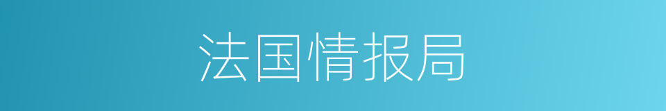 法国情报局的同义词