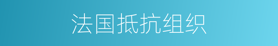 法国抵抗组织的同义词