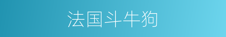 法国斗牛狗的同义词