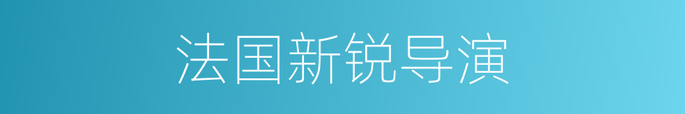 法国新锐导演的同义词