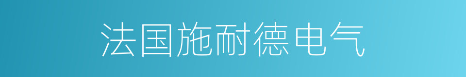 法国施耐德电气的同义词