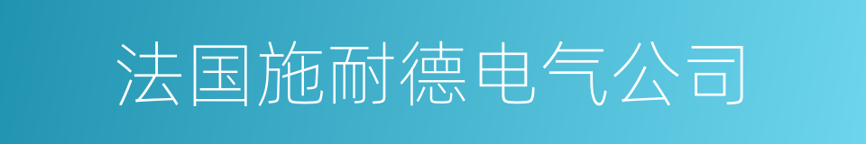 法国施耐德电气公司的同义词