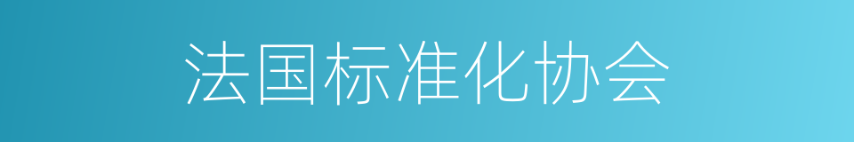 法国标准化协会的同义词