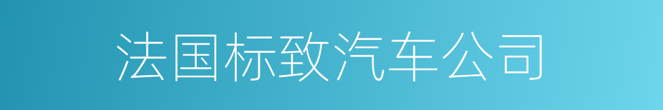 法国标致汽车公司的同义词