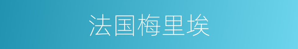 法国梅里埃的同义词