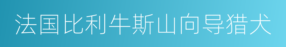 法国比利牛斯山向导猎犬的同义词