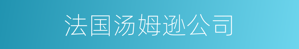 法国汤姆逊公司的同义词