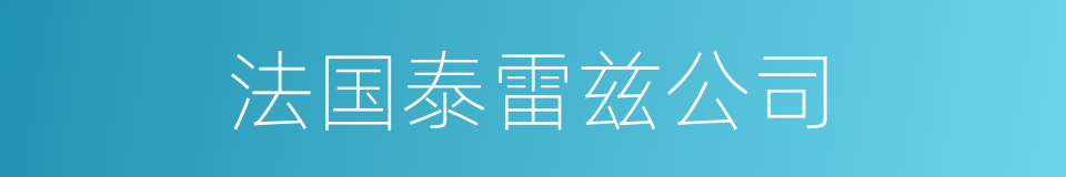 法国泰雷兹公司的同义词