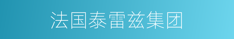 法国泰雷兹集团的同义词