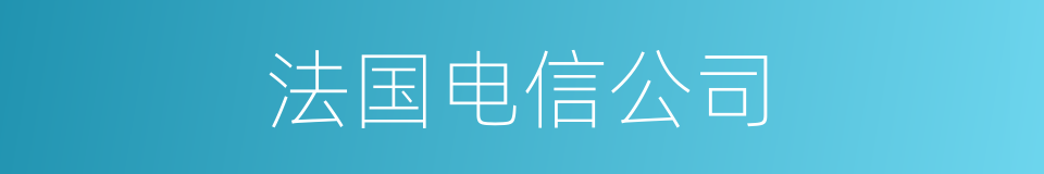 法国电信公司的同义词