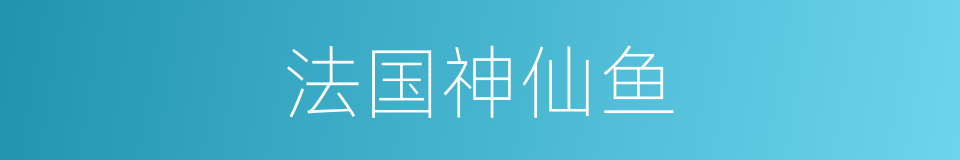 法国神仙鱼的同义词