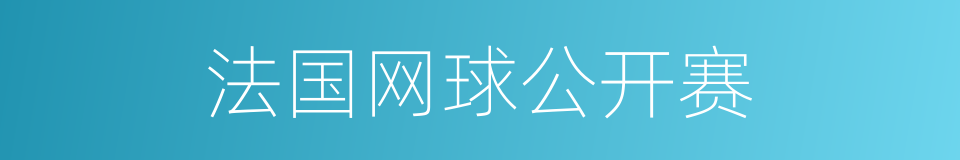 法国网球公开赛的同义词