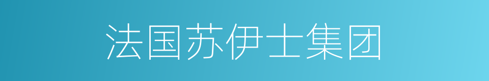 法国苏伊士集团的同义词