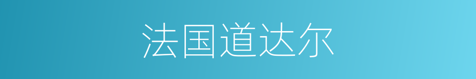 法国道达尔的同义词