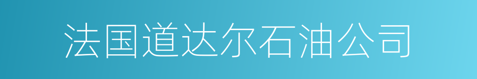 法国道达尔石油公司的同义词