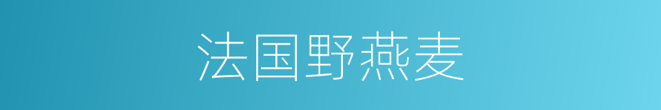 法国野燕麦的同义词