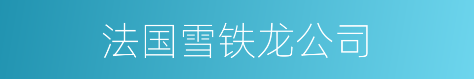 法国雪铁龙公司的同义词