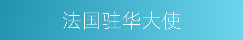 法国驻华大使的同义词