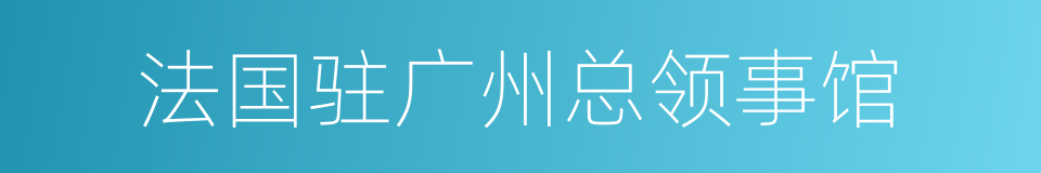 法国驻广州总领事馆的同义词